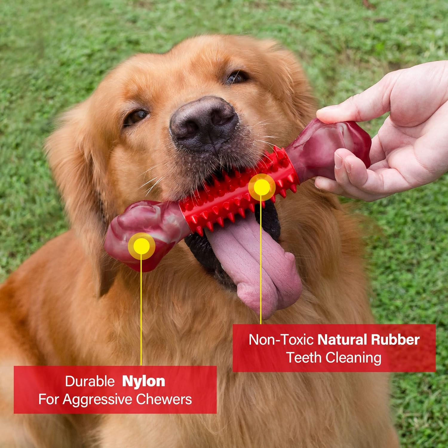 Apasiri Tough Dog Toys for Aggressive Chewers Large Breed, Chew Toys, Bones Made with Nylon and Rubber