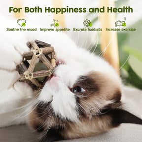 Potaroma Catnip Toys, 3Pcs Cat Toys Natural Silvervine Stick Cage Balls & Bell Ball for Indoor Cats