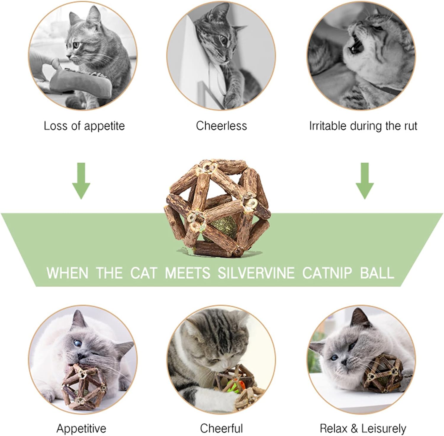 Catnip Toys-2Pcs Natural Silvervine Stick Catnip Ball&Bell Ball-Cat Toys for Indoor Cats- Cleaning Teeth Molar Tools Matatabi Cat Chew Toy-Kitten Toys