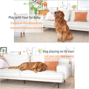 Smart Interactive Dog Ball Toys, Activated Rolling Ball for Dogs with Light, Moving Bouncing Dog Ball,  USB Rechargeable