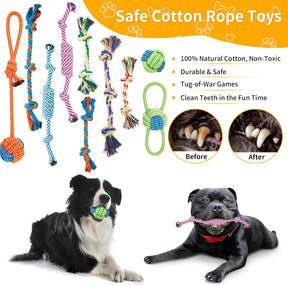 Enido Dog Rope Toys for Small & Medium Breed Dogs, Puppy Chew Toys, 24 Pack Puppy Teething Toys, Promote Dog Dental Health