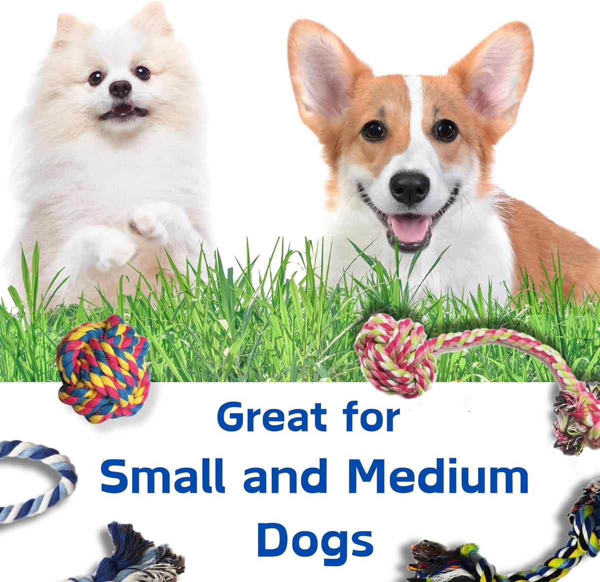 Puppy Dog Pet Rope Toys for Small to Medium Dogs (Set of 4)