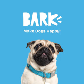 Barkbox 2 in 1 Interactive Plush Dog Toy - Rip and Reveal Dog Toy for Large Dogs - Stimulating Squeaky Pet Enrichment and Puppy Toys