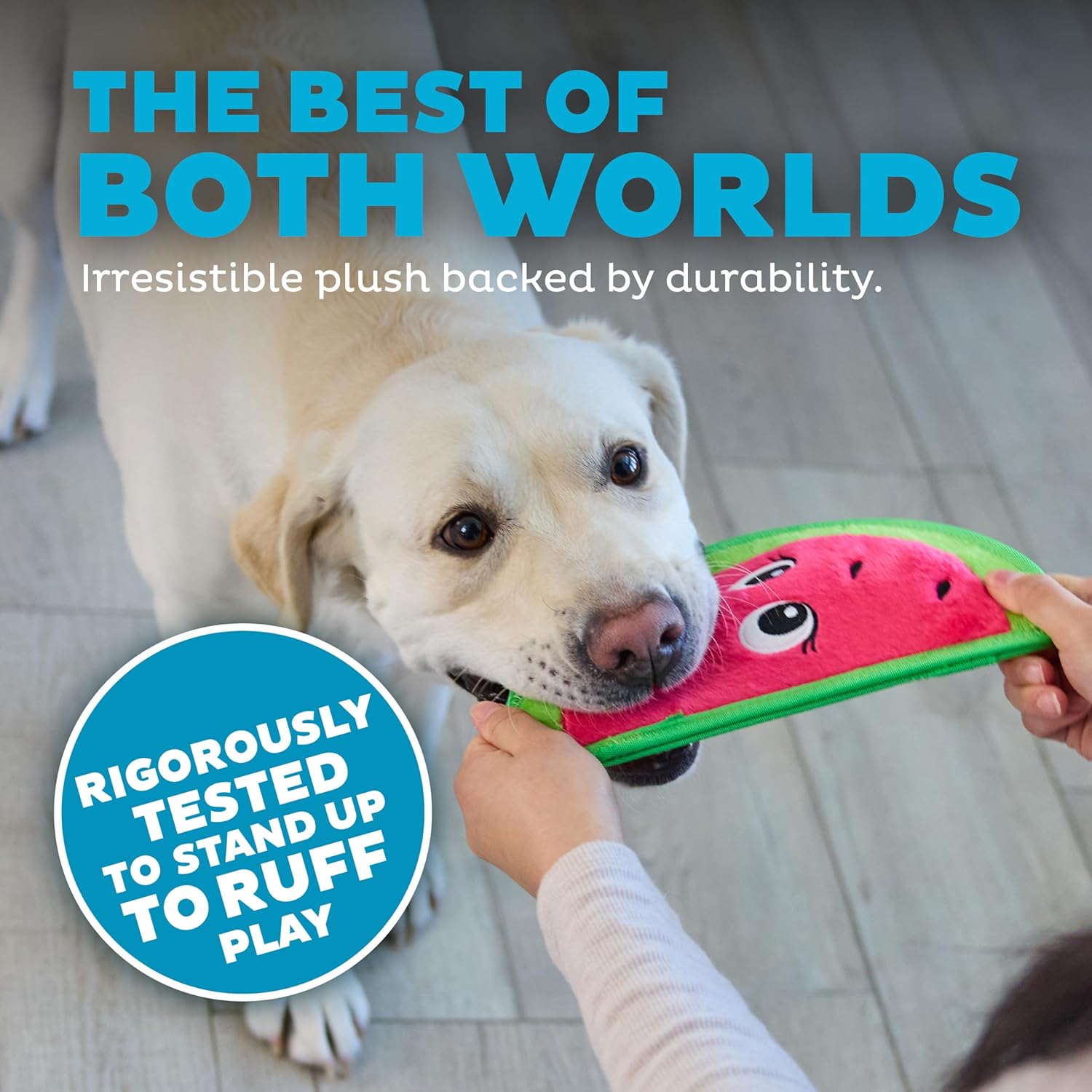 Best durable squeaky dog toys best sale