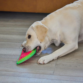 Outward Hound Tough Skinz Durable Squeaky Dog Toy with Two Tough Layers, Watermelon, Red, Medium