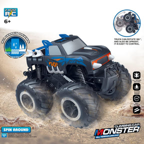 Threeking 1:16 Pick-up Toys RC Car Truck Toys Remote Control Cars Body Waterproofing Suitable for All Terrain