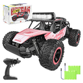 TB141 1:14 Scale Remote Control Car, 2WD High Speed (Pink)