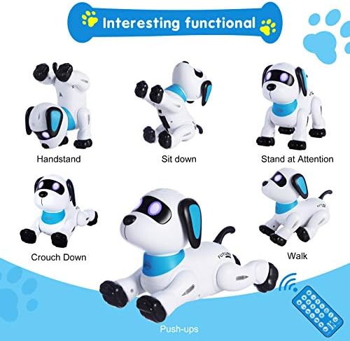 Remote Control Robot Dog Toy for Kids | Blue